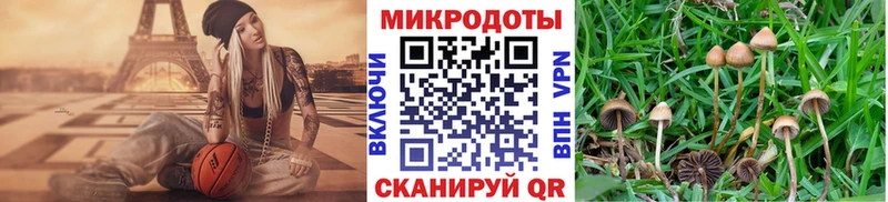 мега ССЫЛКА  Прокопьевск  Галлюциногенные грибы прущие грибы 